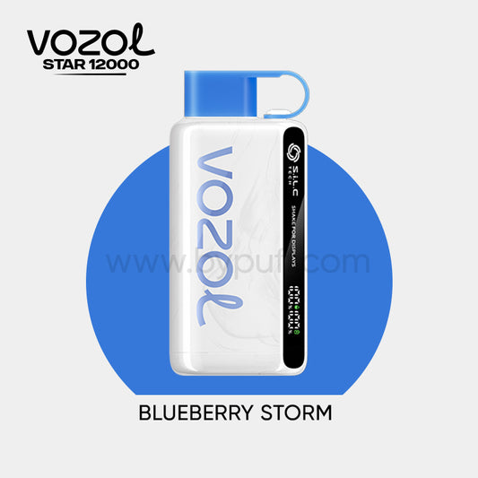 Vozol 12000 Blueberry Storm