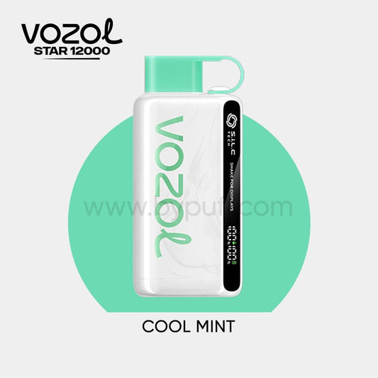 Vozol 12000 Cool Mint - ByPuff