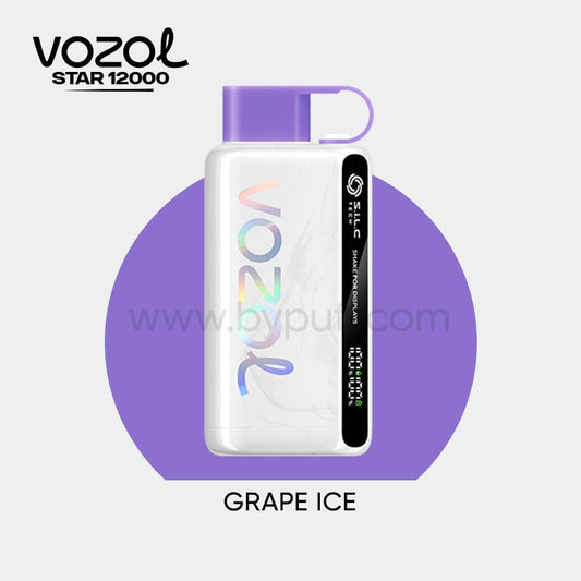 Vozol 12000 Grape ice - ByPuff