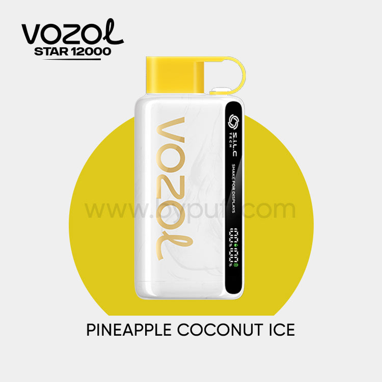 Vozol 12000 Pineapple Coconut ice